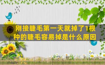 刚接睫毛第一天就掉了1根 种的睫毛容易掉是什么原因